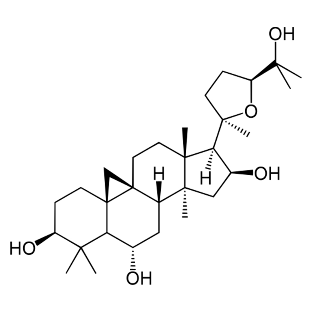 CYCLOASTRAGENOL POWDER