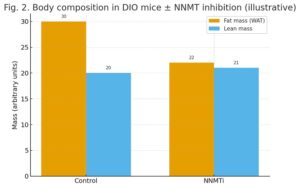 Fig. 2 — Body composition in DIO mice - NNMTi