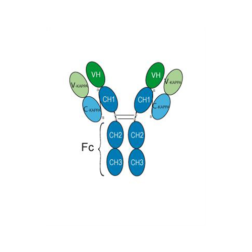 TREVOGRUMAB PEPTIDE 1MG VIAL